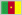 Cameroon flag